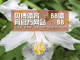 产品名称二